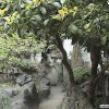 Photos de Chine