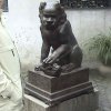 Photos de Chine