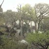 Photos de Chine