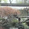 Photos de Chine