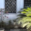 Photos de Chine