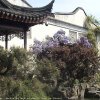 Photos de Chine
