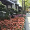 Photos de Chine
