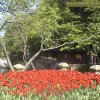 Photos de Chine