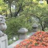 Photos de Chine