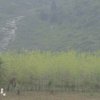 Photos de Chine