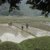 Home &raquo; Chine &raquo; Chine &raquo; 18-LONGJI
