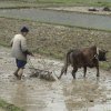 Photos de Chine