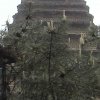 Photos de Chine